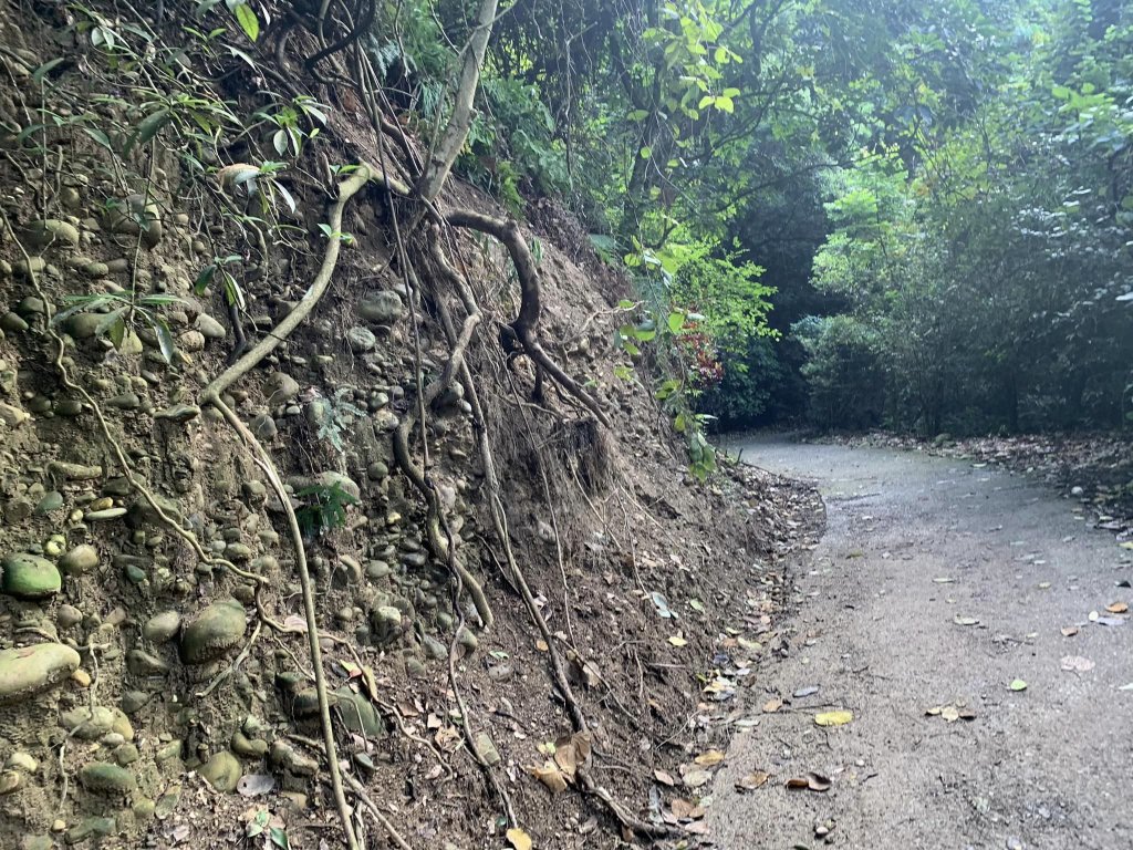 橫山步道（小百岳）_2244616