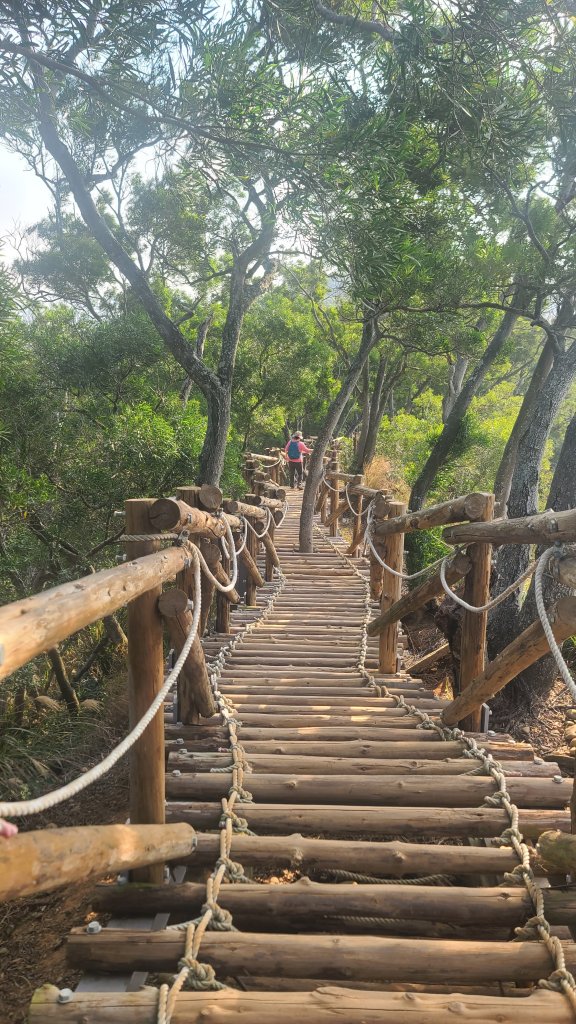 2026-0118新竹新埔文山步道_2984653