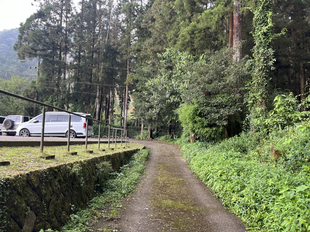 [嘉遊好步道．來嘉走走-04/10] 2024_1011 阿里山頂湖步道_2624664