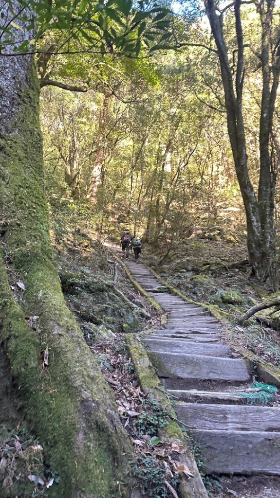 南橫三星_2977948