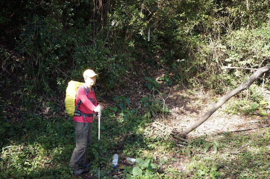 新望嶺初探_284993