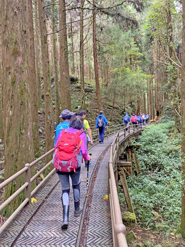 特富野古道、神木逍遙遊 20200606_987120