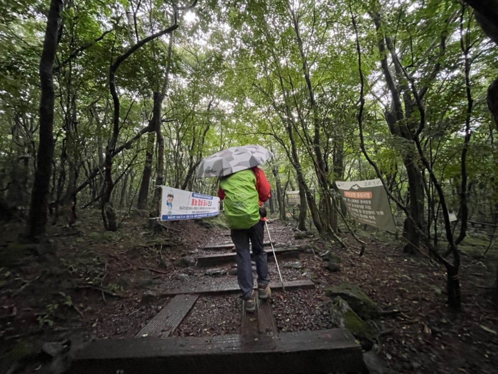 1140811 KR 漢拏山杜鵑花田避難所-紗羅岳觀景臺_2860085