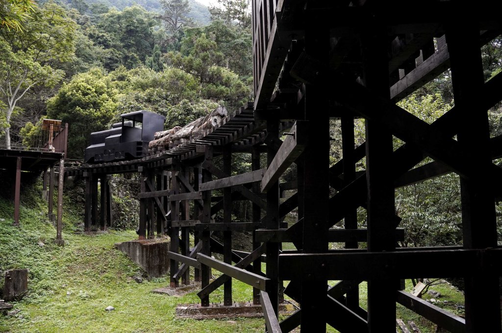 八仙山森林步道_2865244