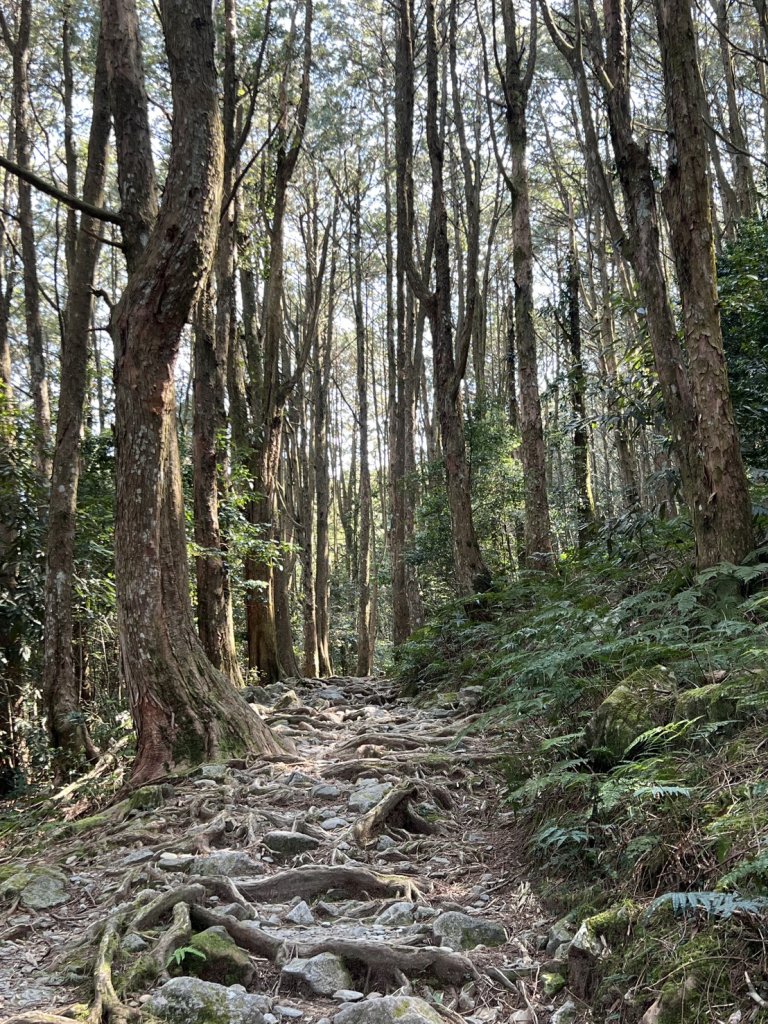 小百岳-稍來山_2752436