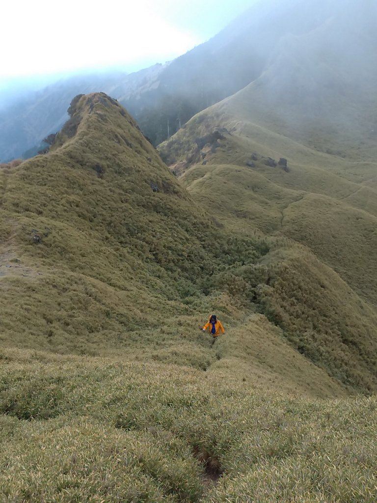 【南投縣仁愛鄉】能高主奇萊南南華山(中)_877224