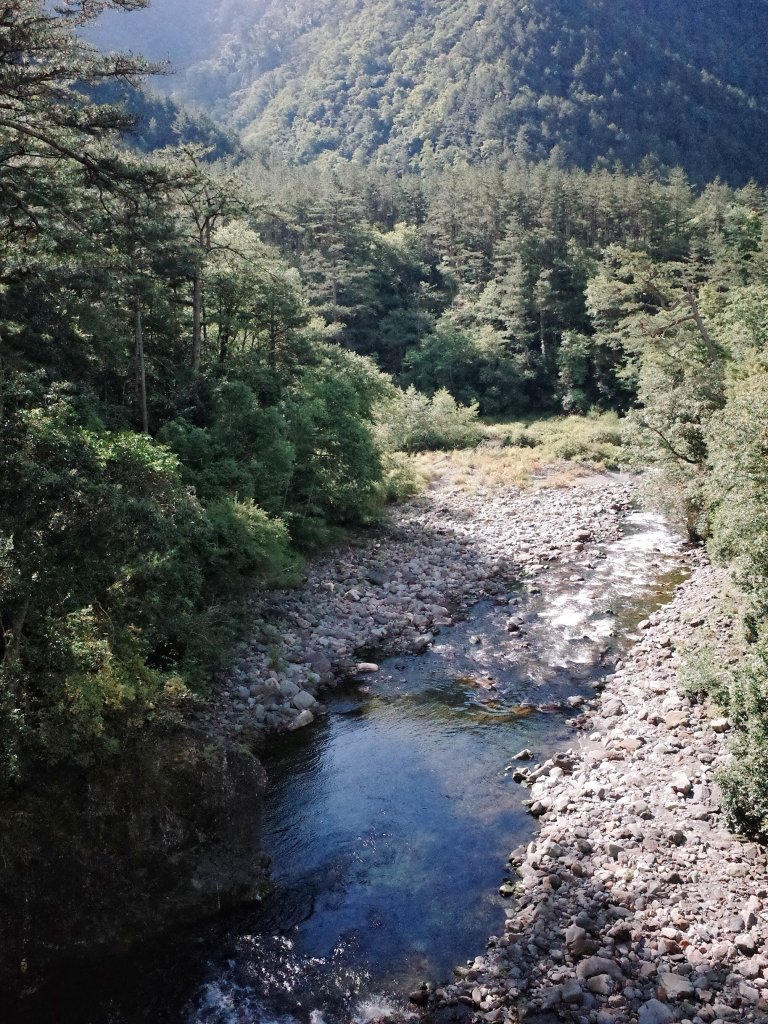 桃山&一點也不鳥的喀拉業山_632655