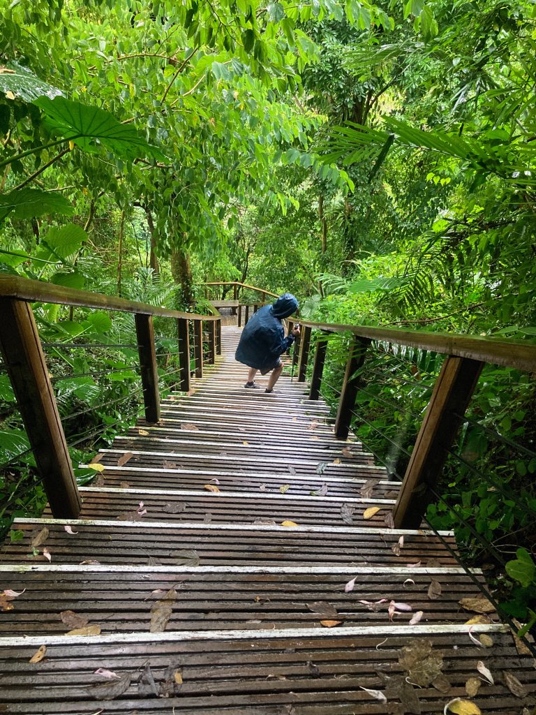 獨立山國家步道_2615956