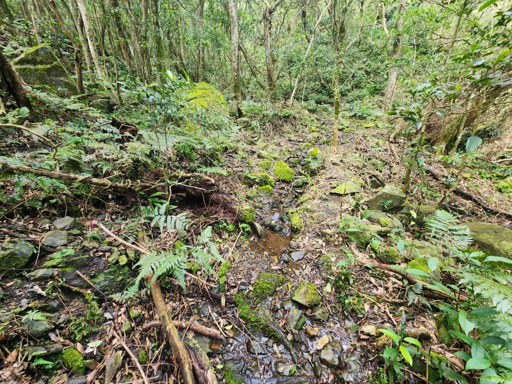 20250302樂佩山_2754729