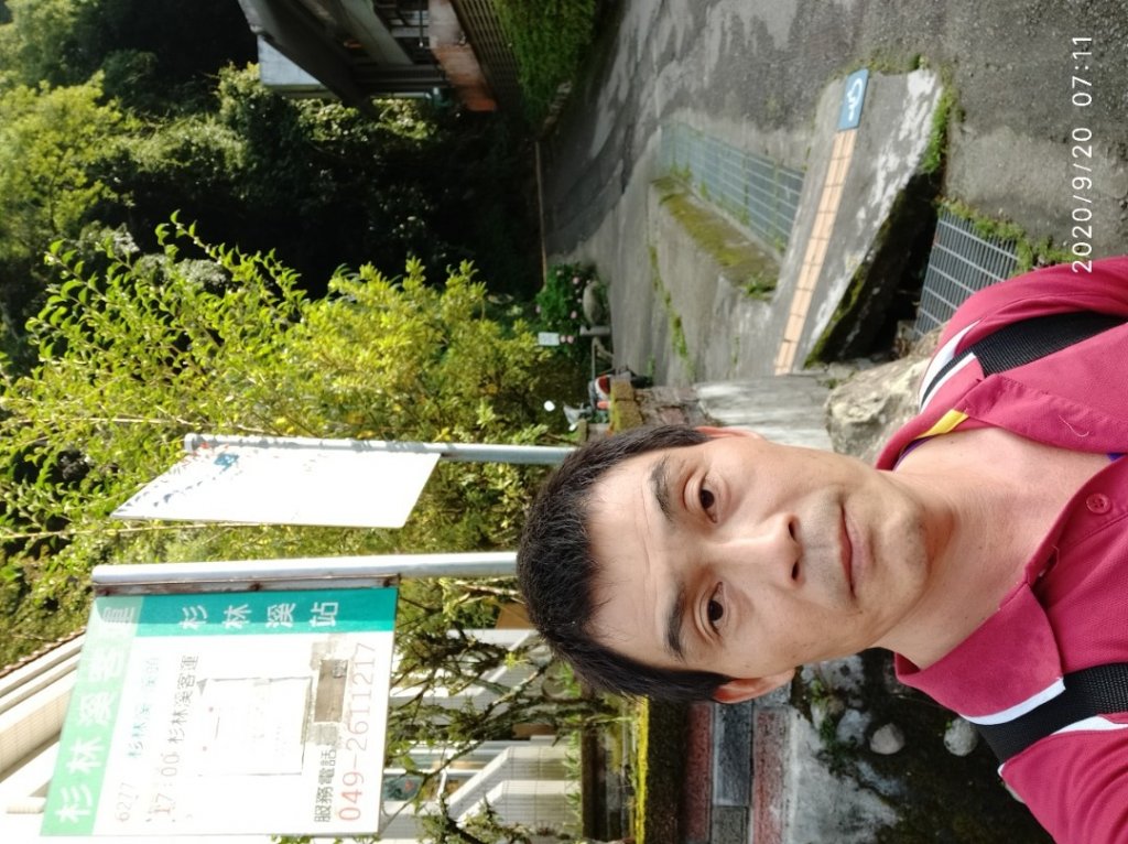 眠月神木、郡大神木群_1106804