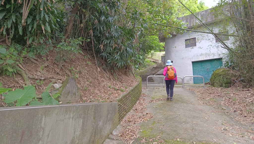 (姨婆趴趴走)第五十集:新北樹林大同山、青龍嶺、大棟山諸峰連走_2751529