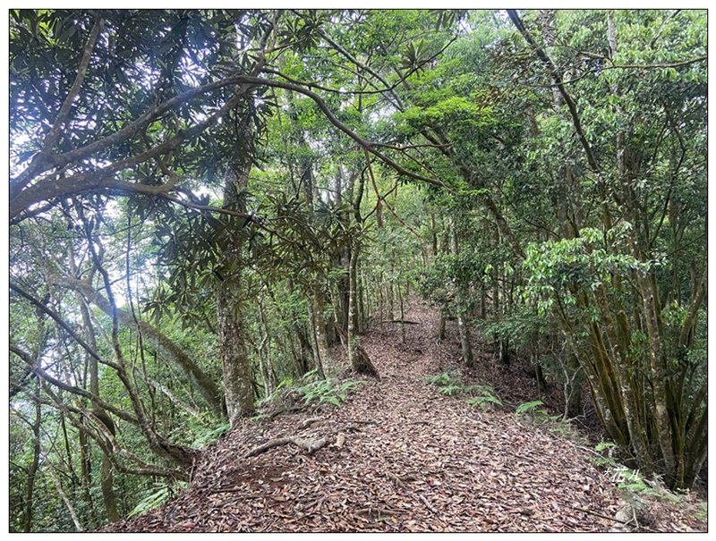 巴蜈縱走 (27.6K一日長征)_2780358