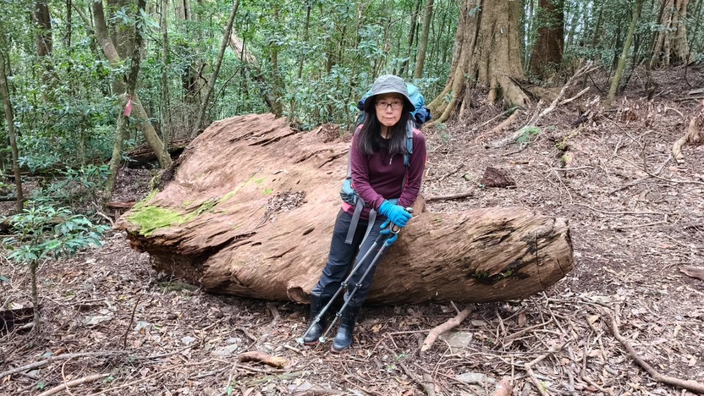 南一段20250101~05_2685055