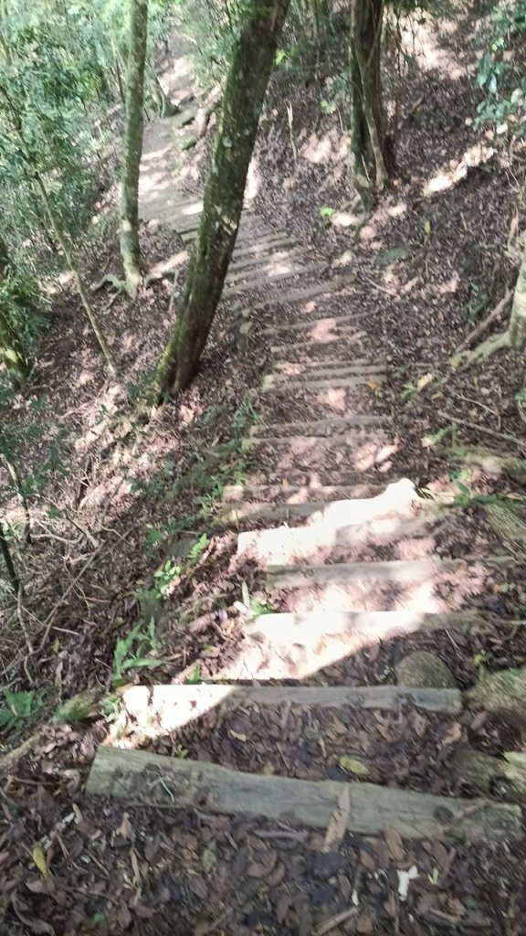 20251004 馬那邦山 - 珠湖 登山口_2904767