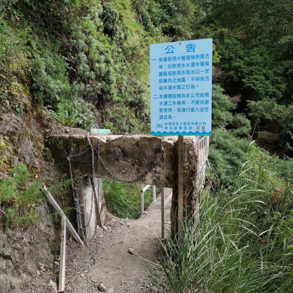 石山引水道 鹿林神木_1808950