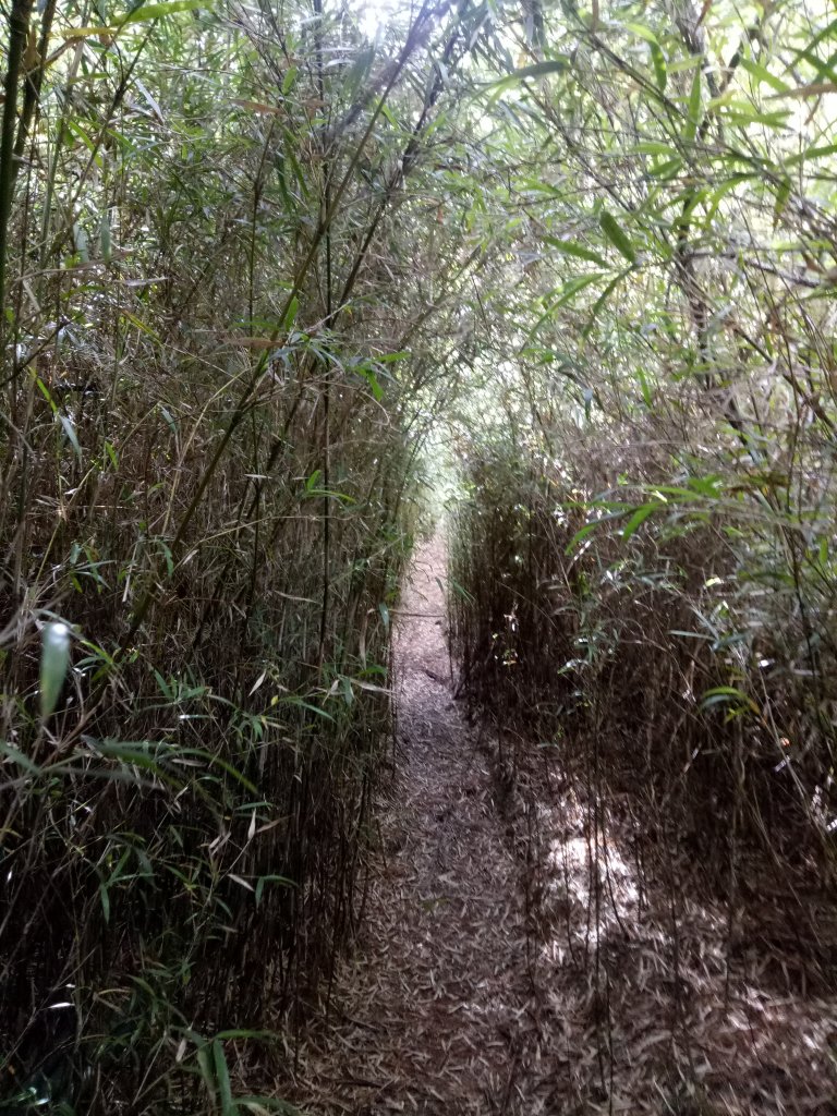 將軍廟上天鑾池+武法奈尾山_1881012