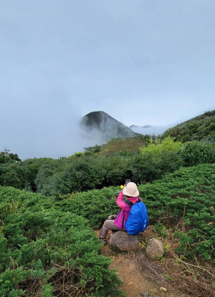 賞花+爬山健行-20240224_2436973