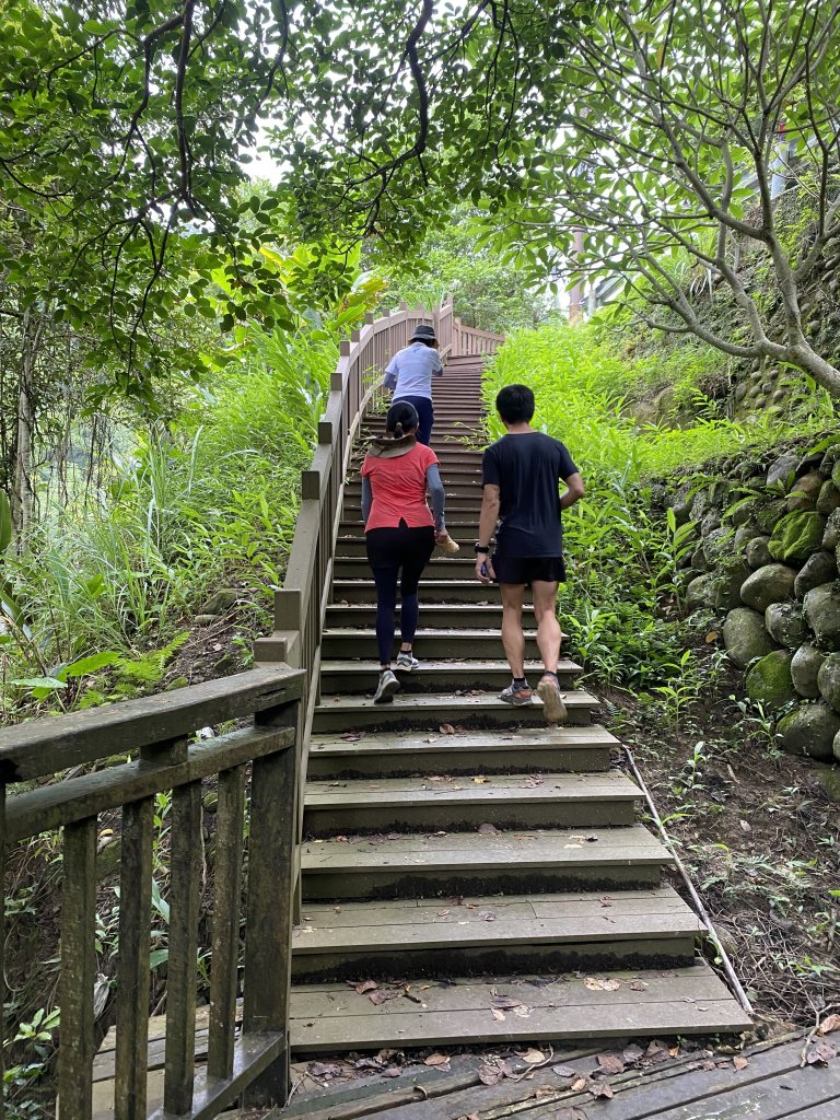 20250706-EP.08四寮溪生態步道-2025森遊竹縣皮皮獅探險隊_2851870