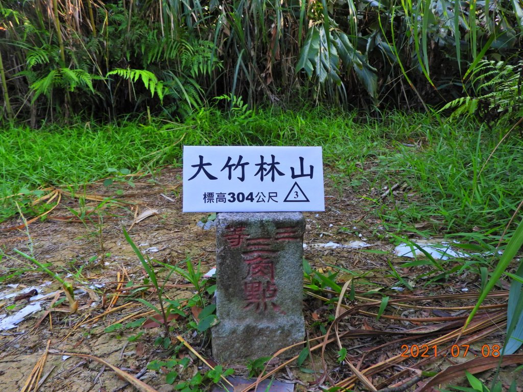 新北 雙溪 大竹林山封面圖