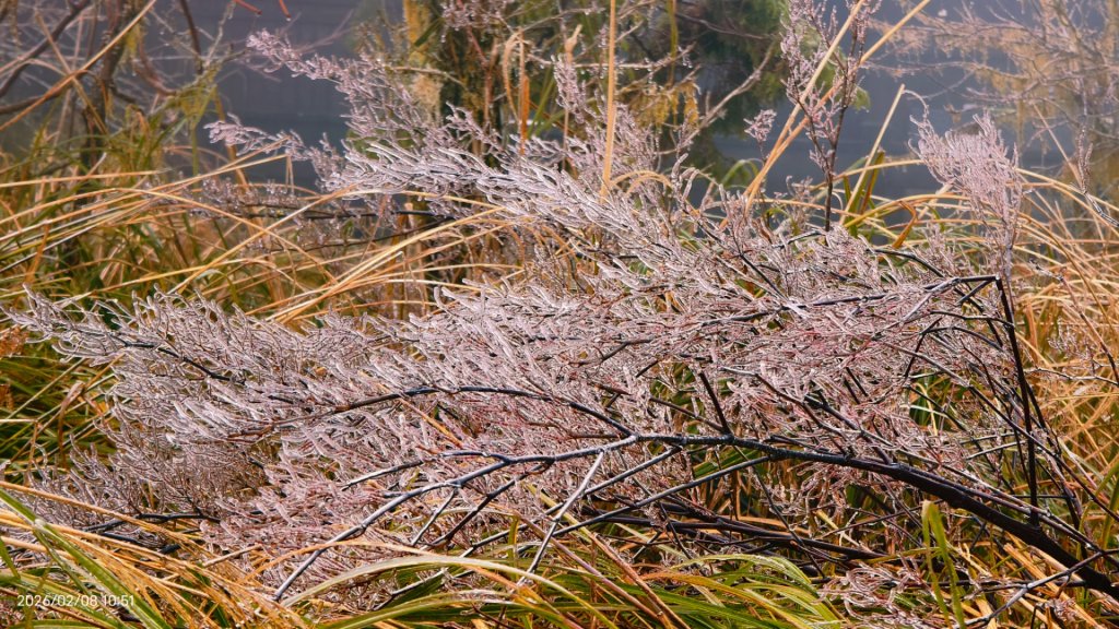 #霧淞 #雲海 #雲瀑 #霧虹 #太平山 #望洋山 #觀雲步道 #翠峰道路  2/8_2995320