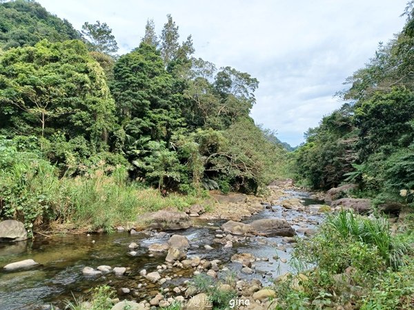 【苗栗南庄】沿途潺潺溪水聲。 蓬萊溪護魚步道_2688900