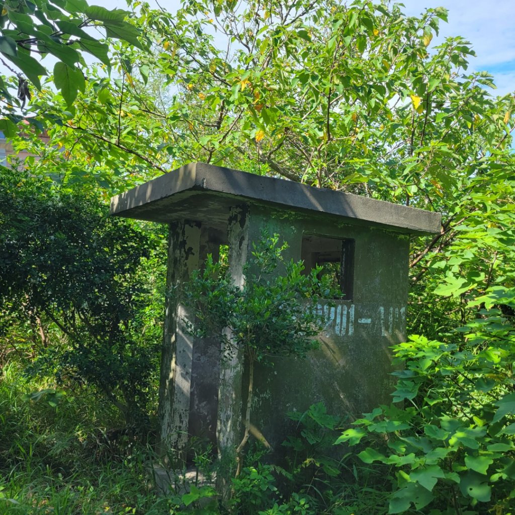 通霄虎頭山步道_2245729
