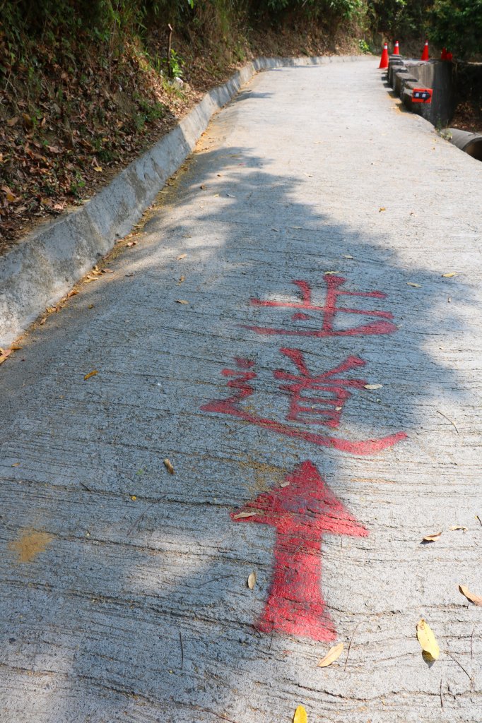 健身公益齊步走。萬豐環山步道_780283