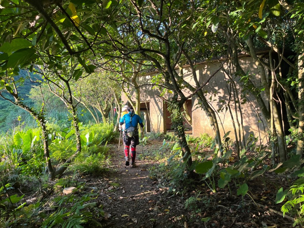 新北 瑞芳 無言的山丘_2788448