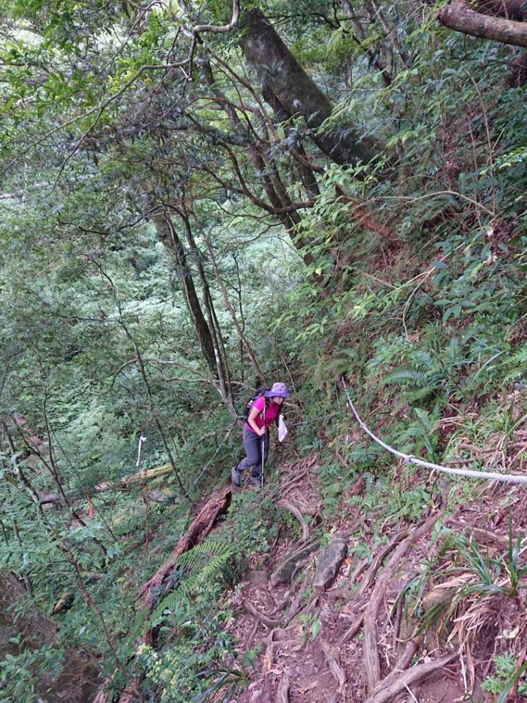 貴妃山、那結山O走_1478379