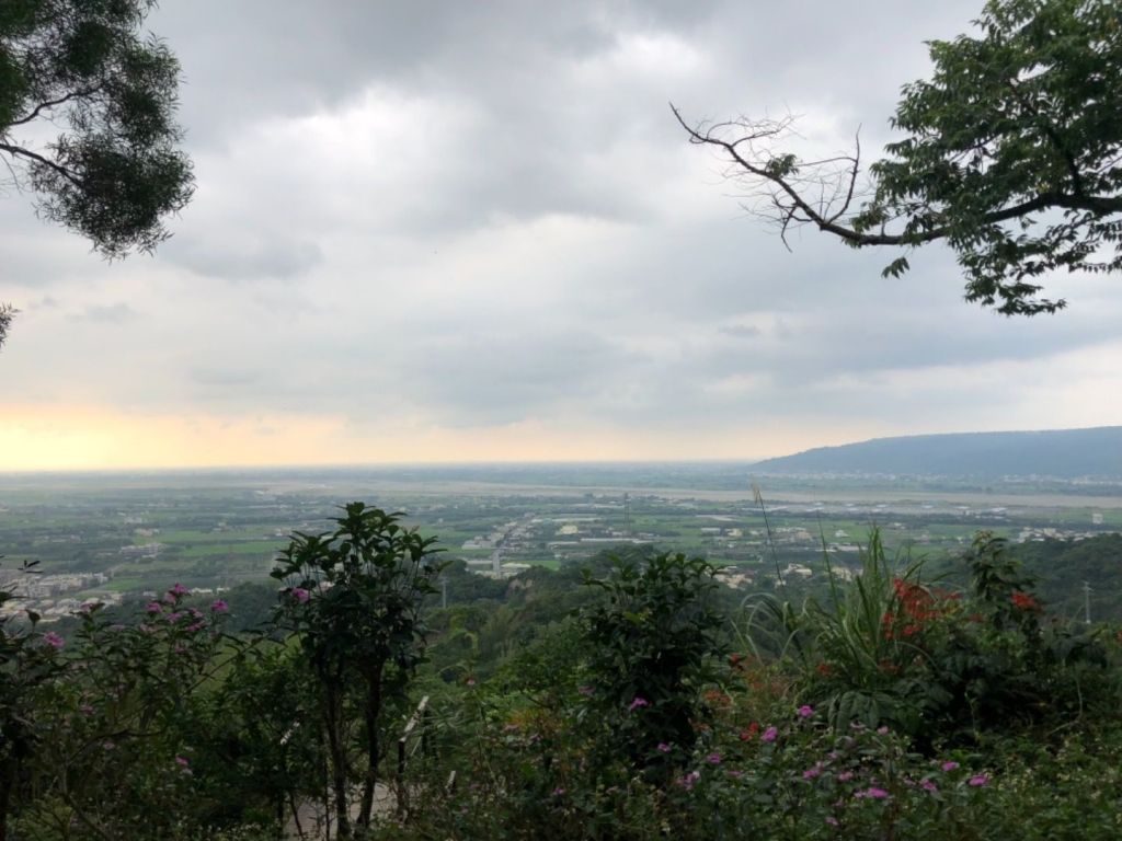 雲林縣林內鄉龍過脈步道_325062