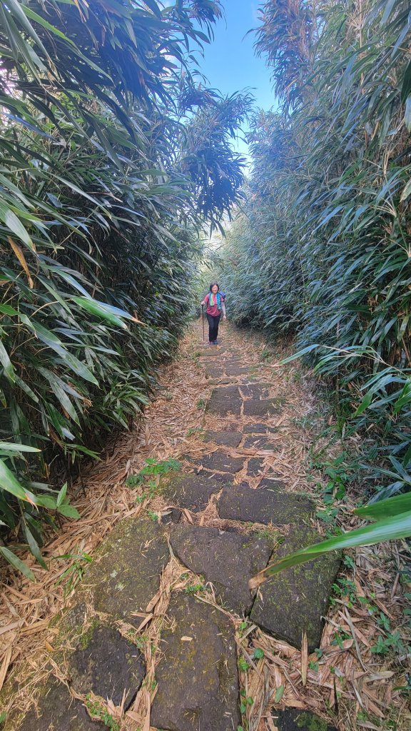大屯山主峰連走南峰─西峰_1875837