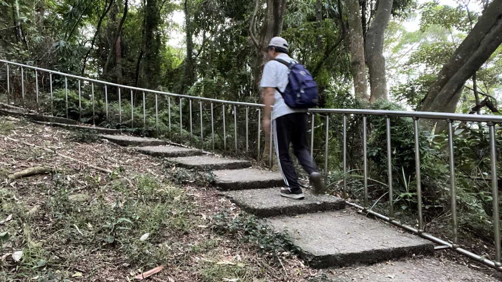 田中森林公園步道_20231003封面圖