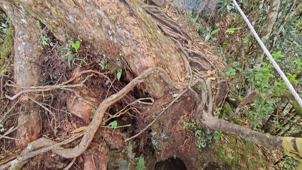 復興三尖之夫婦山_2356715