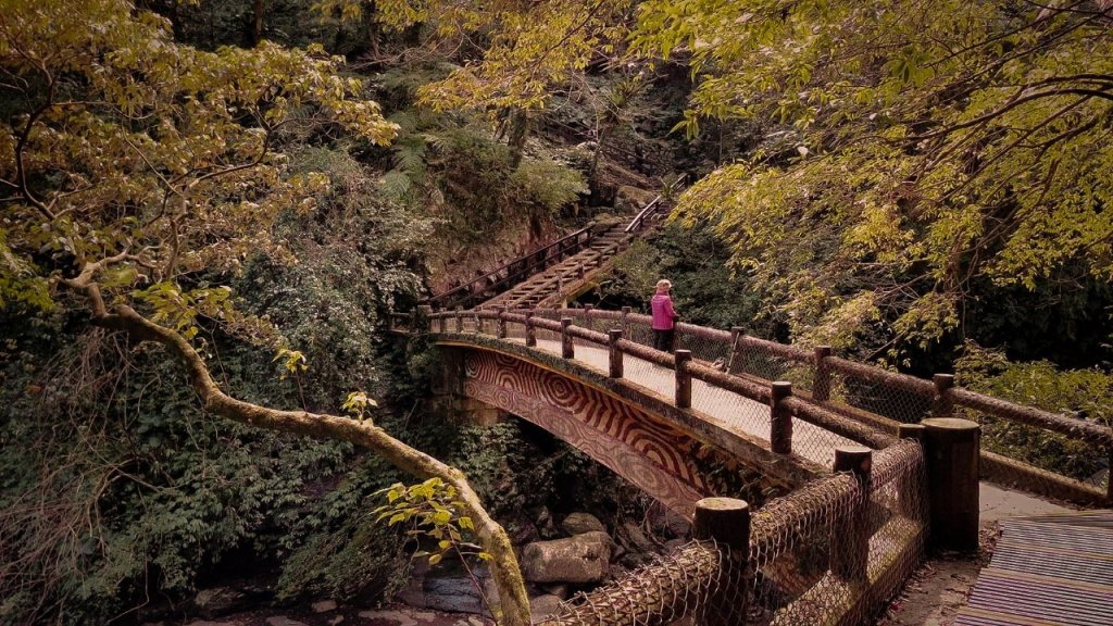 三峽｜滿月圓國家森林遊樂區封面圖