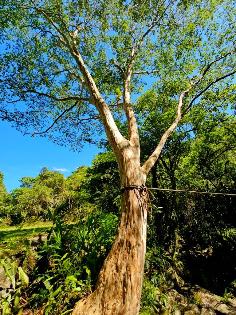 中坑古道(淡蘭中路)-新北市雙溪區_2886235