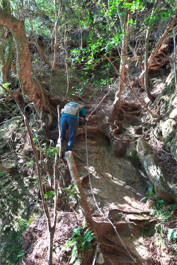 嘎色鬧登那結山_2392510