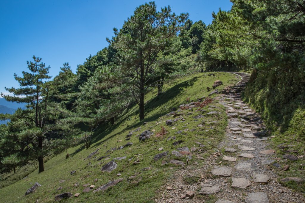 玉山國家公園走訪 麟趾山-鹿林山_1479883