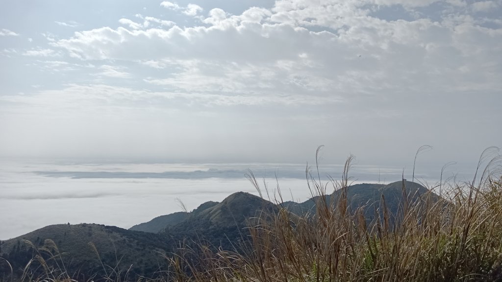 只有大屯山_2114474