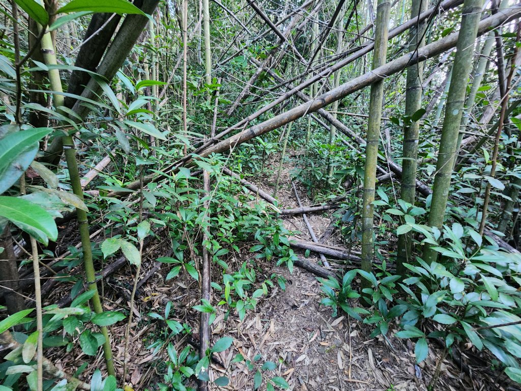 20231105拉號山嘎色鬧山榮華山_2375834