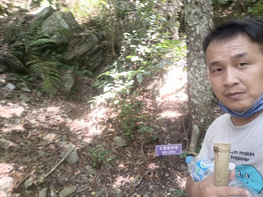 知本國家森林遊樂區步道_1775706