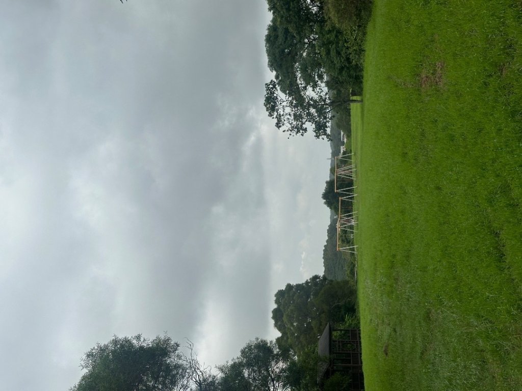 新竹香山-青青草原_2615049