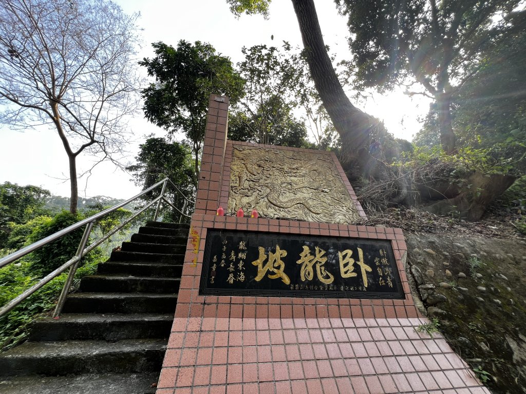 2024.11.10臥龍坡、藤山步道O型封面圖