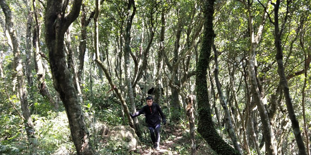 202102 三峽動物縱走小O繞_1278854