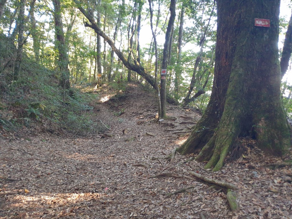 20230122鹿湖山(山羊山)、哈勘尼山_2024224