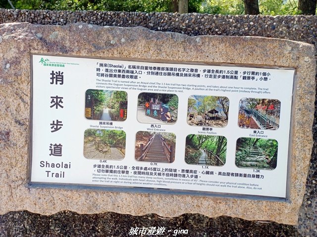 【台中和平】山林靜謐時光。 捎來步道_2989236