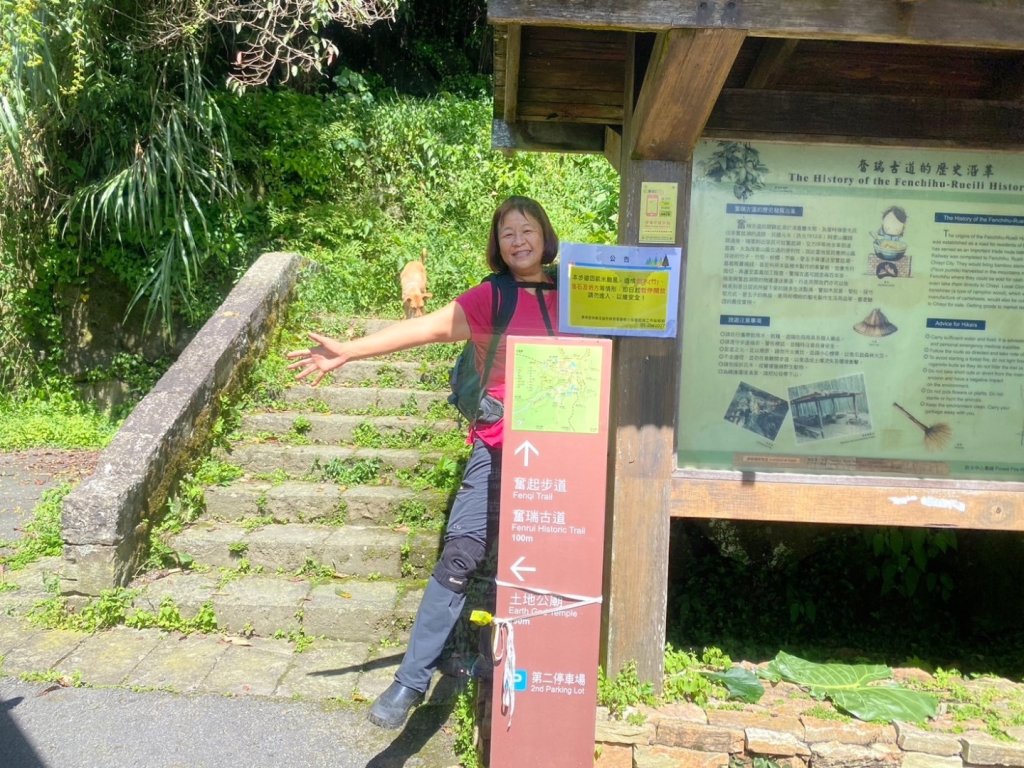 奮起湖環狀步道、麻竹湖步道_2638110