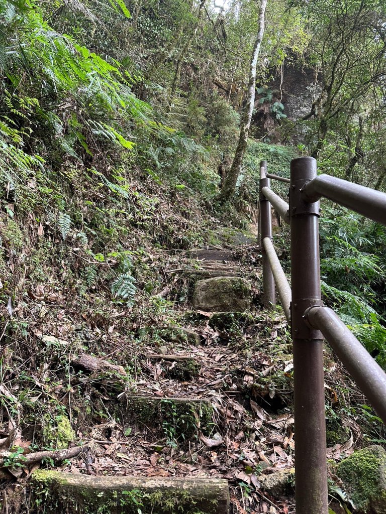 石夢谷、情人谷瀑布步道健走_2440898