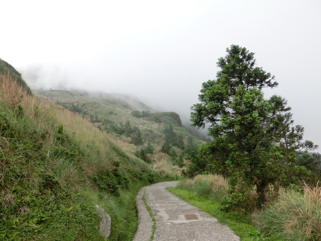 冷水坑．夢幻湖．七星公園．遊客中心_93854