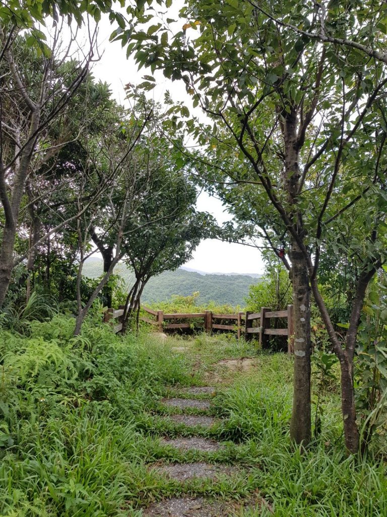 2019.08.23基隆金龍湖、樂利山_657025