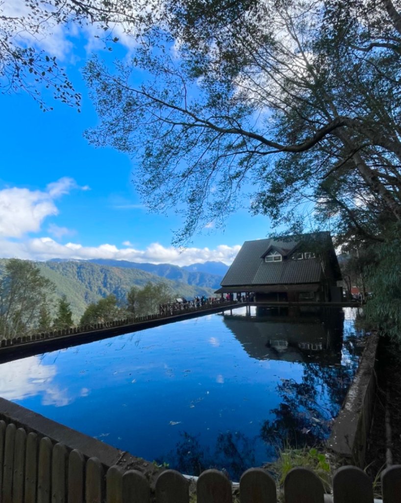 上武賞楓紅黃橙橙銀杏🍁_2667834